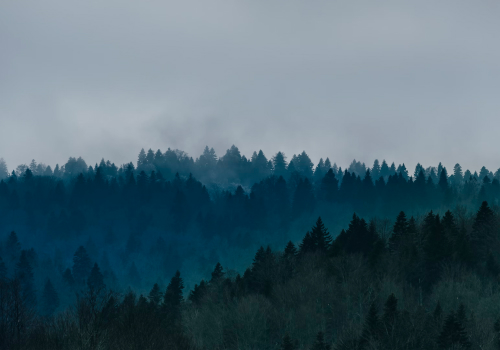 Clean Air’s ambition to be carbon neutral by 2023